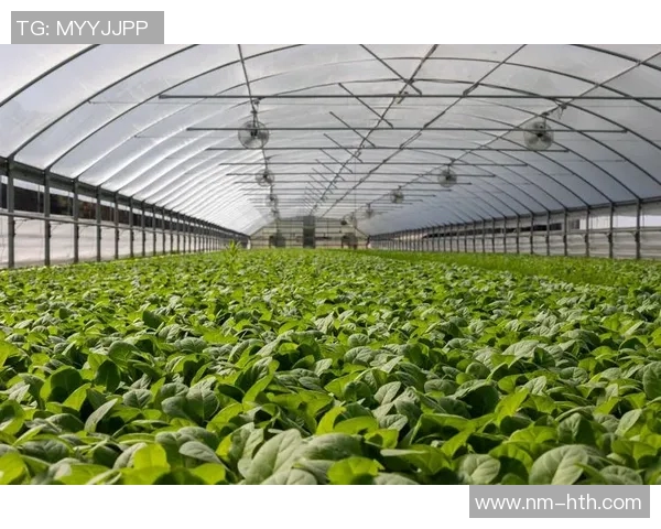 足球人才培养体系的创新与未来发展路径探讨 足球人才培养体系的创新与未来发展路径探讨